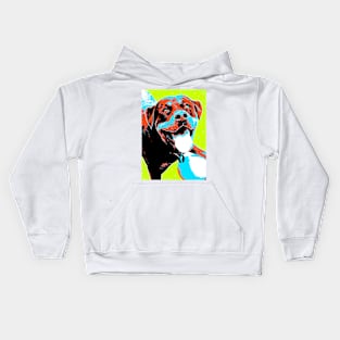 Play Ball Kids Hoodie